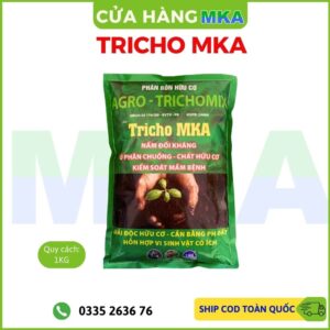 Nấm đối kháng Trichoderma
