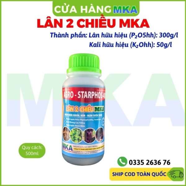 Lân 2 chiều