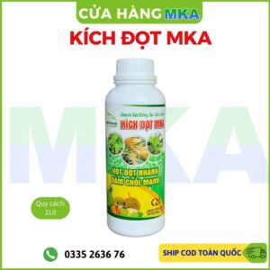 Kích đọt MKA