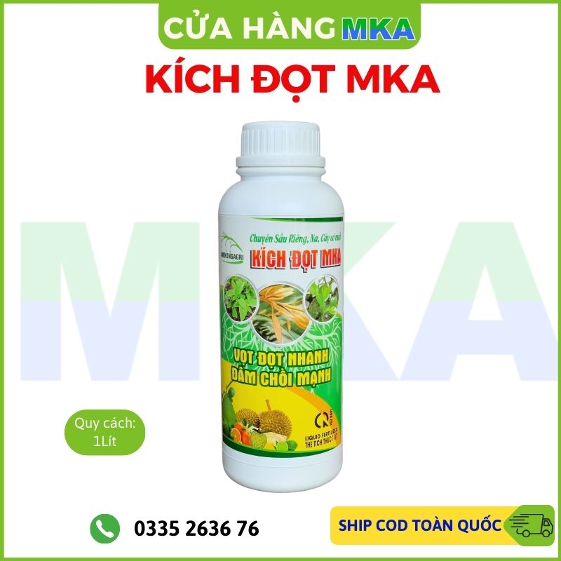 Kích đọt MKA