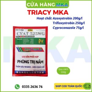 TRIACY MKA