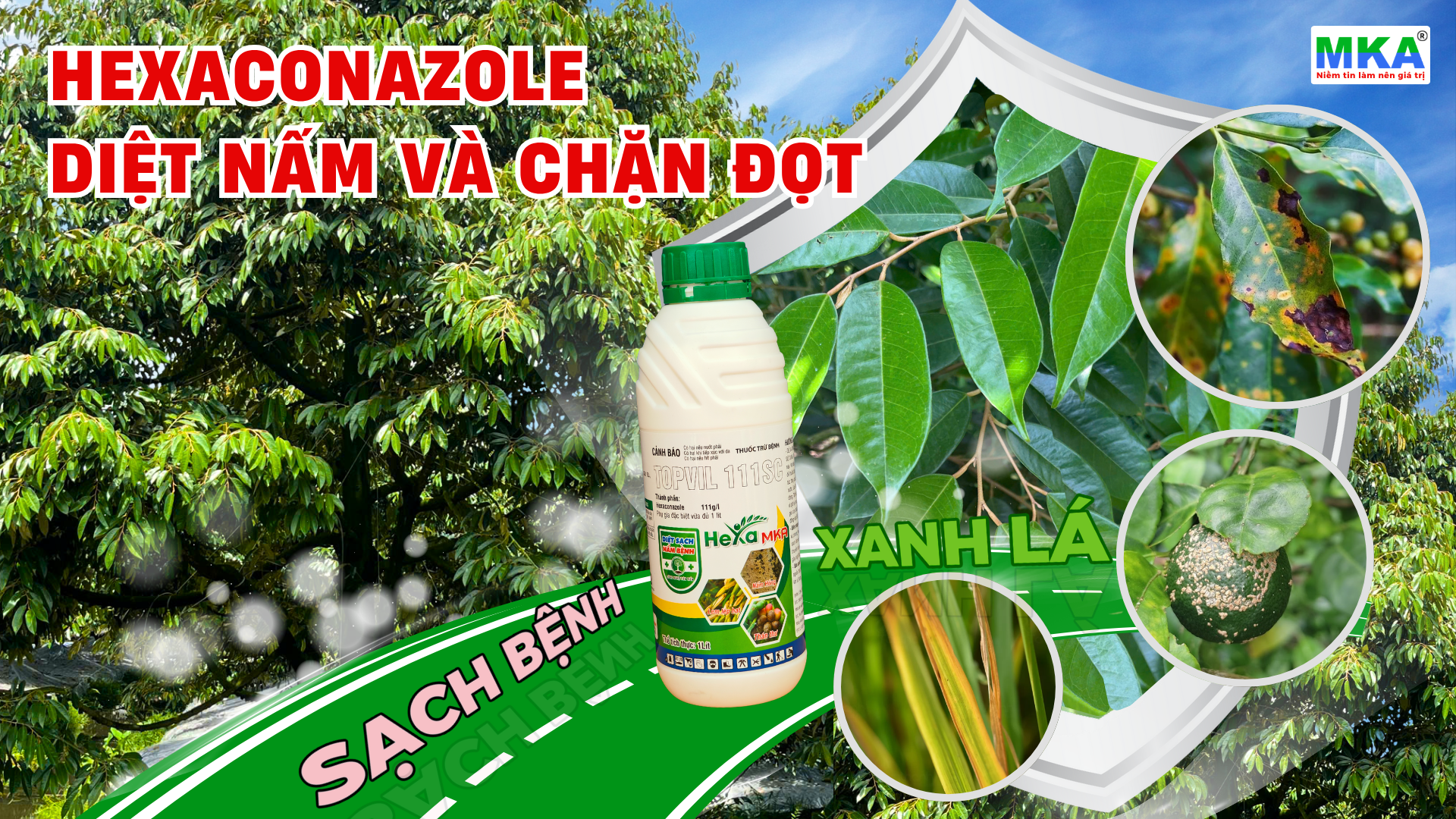 Hexa MKA gấp đôi hexaconazole hàm lượng 11%
