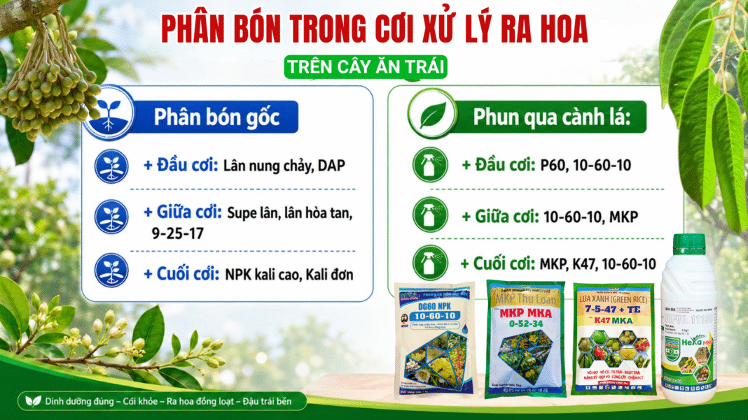 phân bón NPK hoà tan lân cao MKA Phân bón NPK hoà tan lân cao