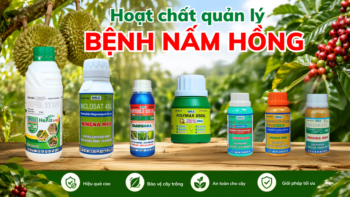 Thuốc nấm hồng MKA