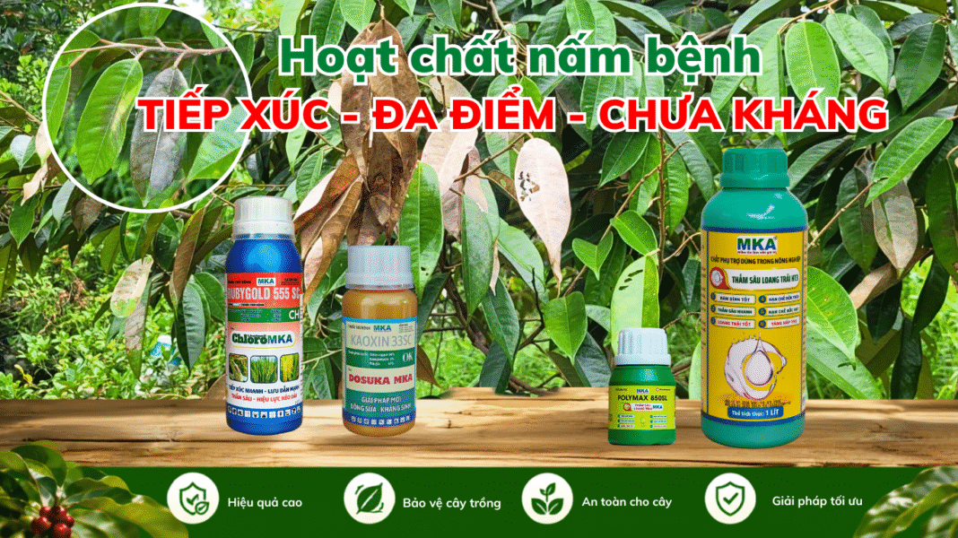 BAI WEB (2) hoạt chất nấm bệnh tác động đa điểm