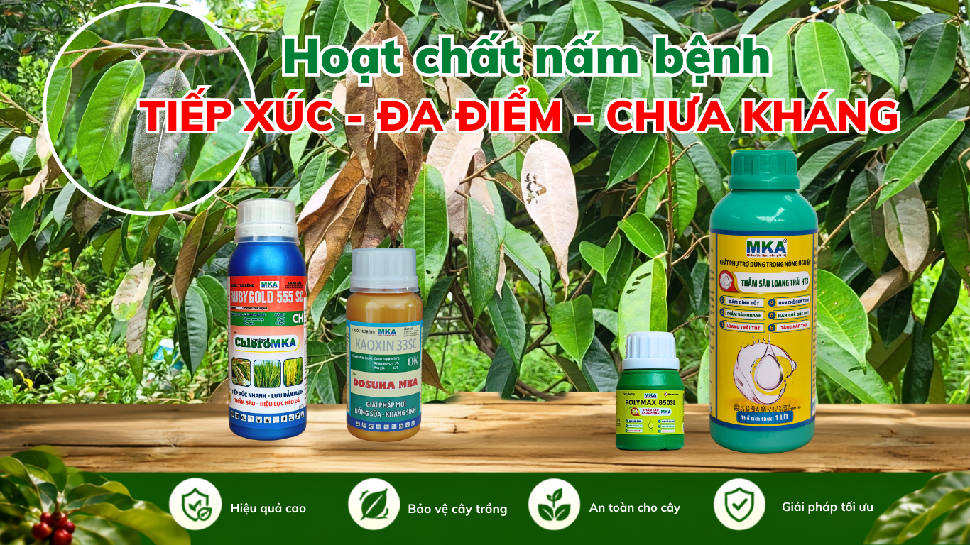 hoạt chất nấm bệnh tác động đa điểm