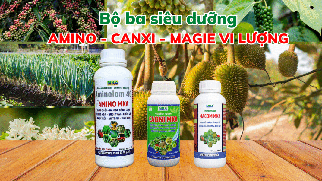 Bộ siêu dưỡng ACAMA Bộ ba siêu dưỡng ACAMA