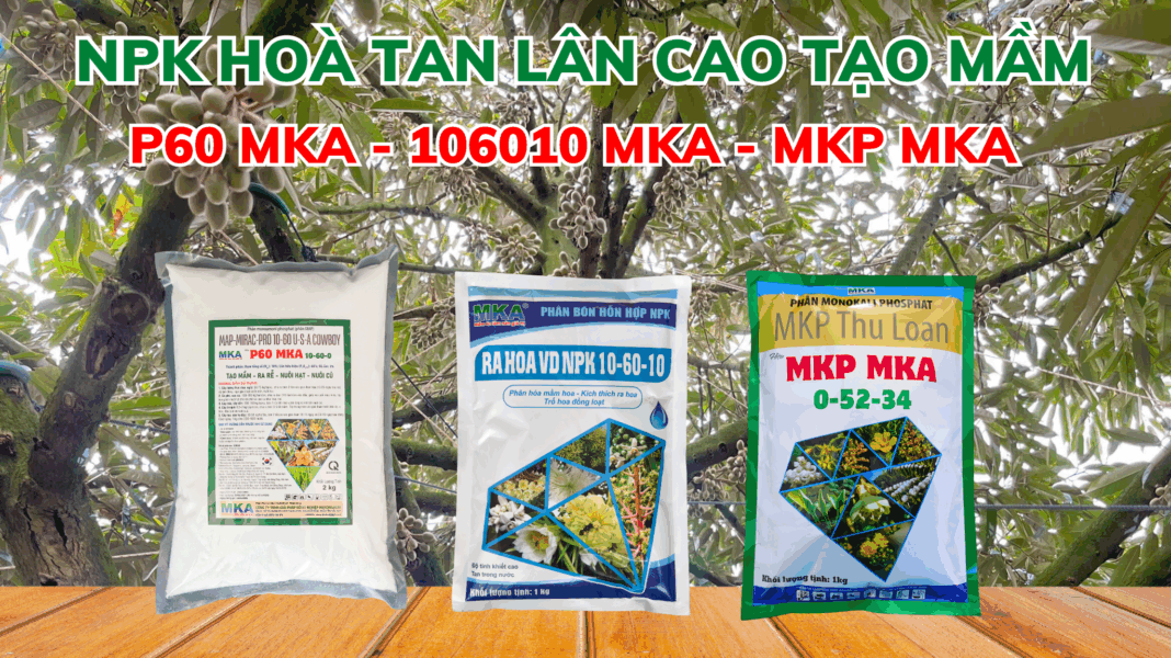 Bộ sản phẩm NPK lân cao MKA NPK hoà tan lân cao MKA