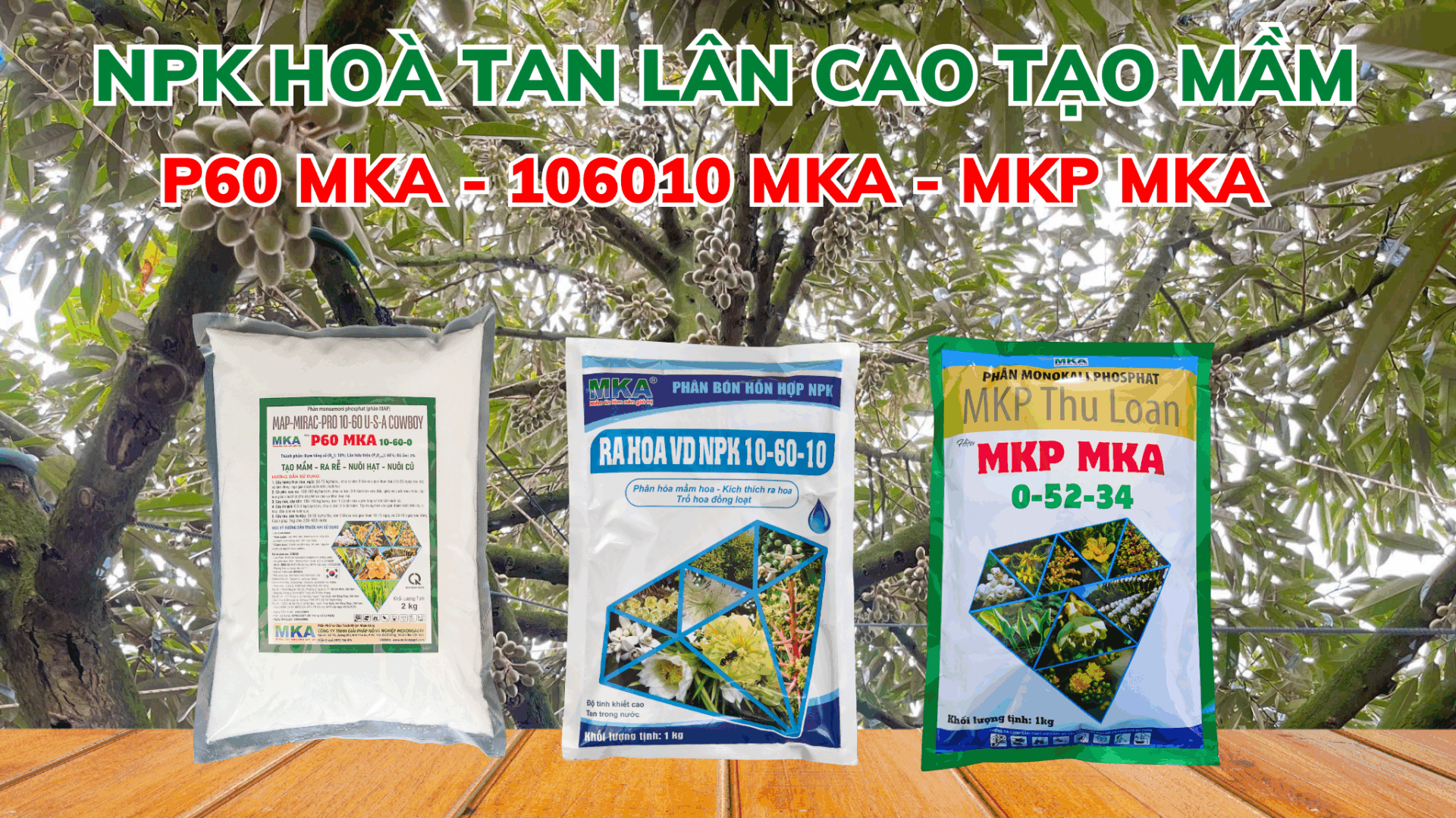 NPK hoà tan lân cao MKA